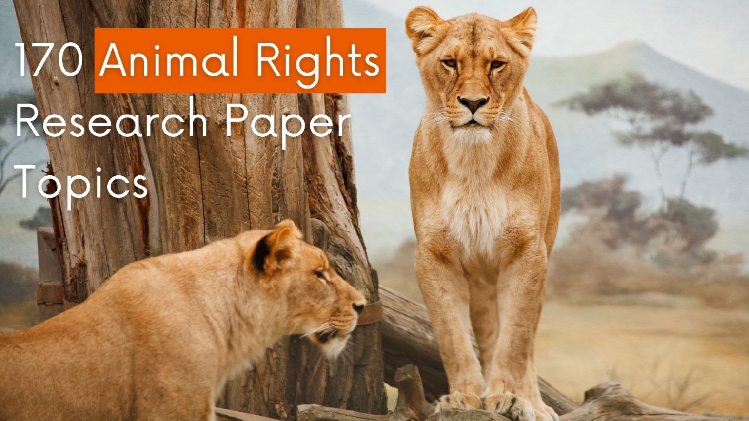 animal rights research articles