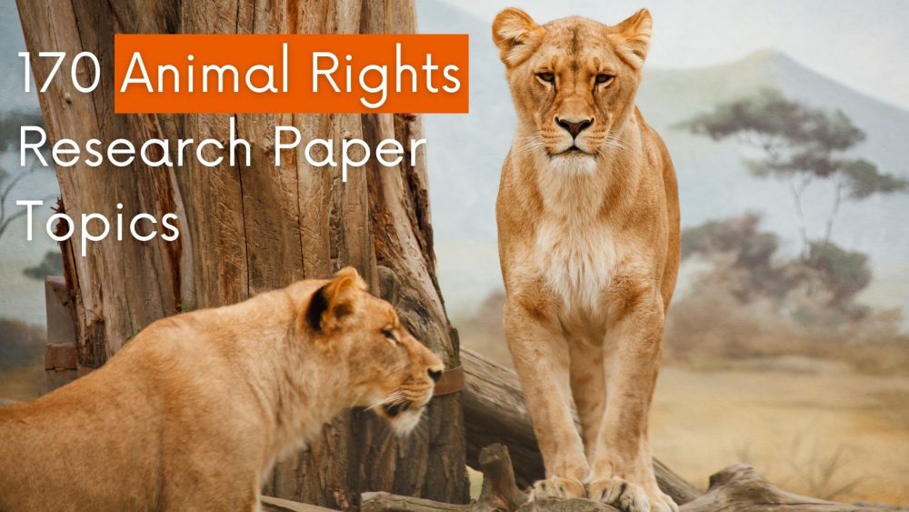 170 Top Animal Rights Research Paper Topics And Ideas